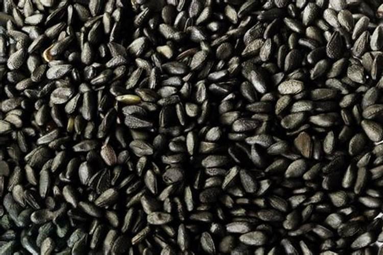 科学施肥效果好,种芝麻怎么施肥好？