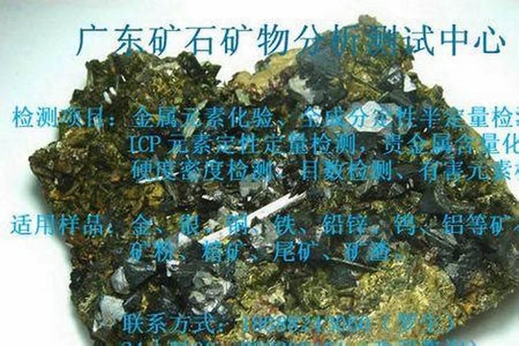 红掌花朵为什么会变绿 颜色发生一系列的变化