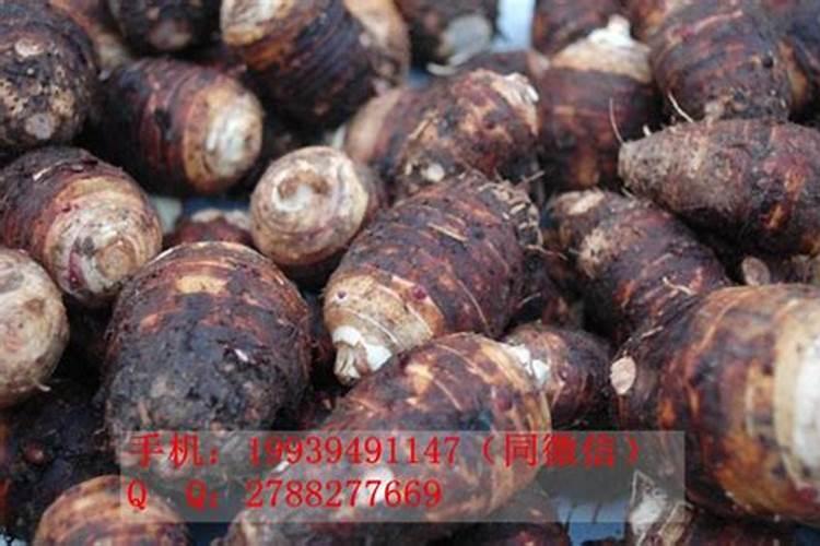 芋头追肥用什么肥料好