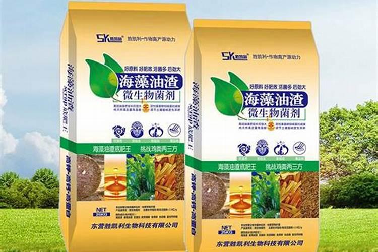 兰花用什么肥料最好