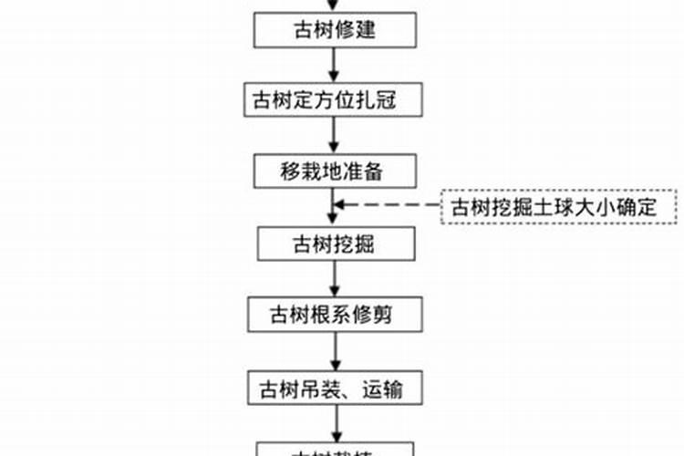 过百岁的大叶女贞是古树吗？