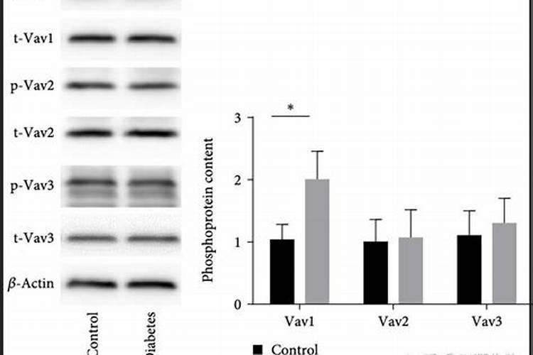 鱼蛋白,羊粪,豆粕肥可以一起用吗？