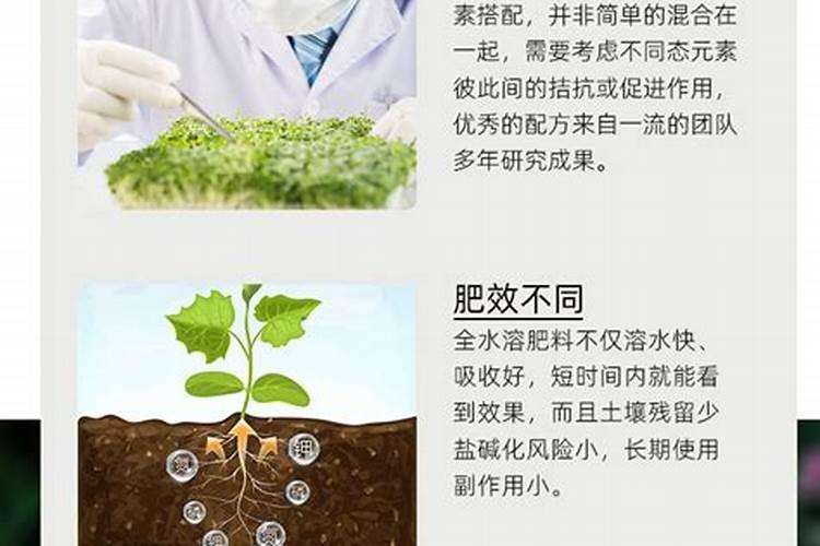 中国水溶肥的前十名中国十大水溶肥排名