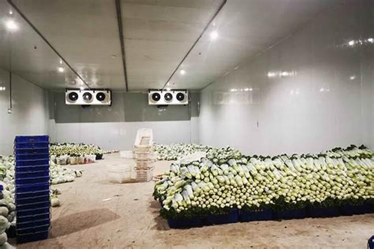 在现在的农村,用十亩地来种菜卖,一年能赚多少钱？