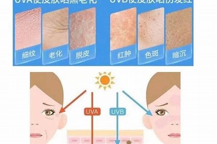 撒肥料桶选什么颜色好