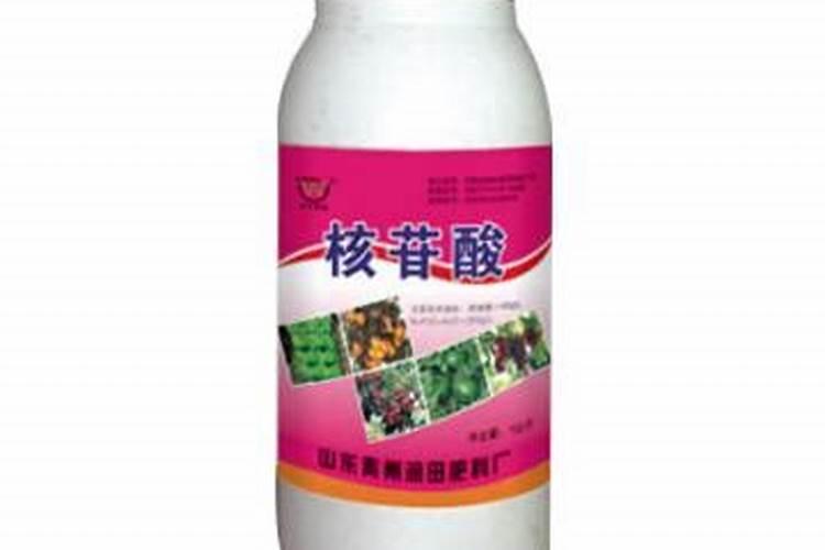 山东鑫星农药有限公司怎么样？