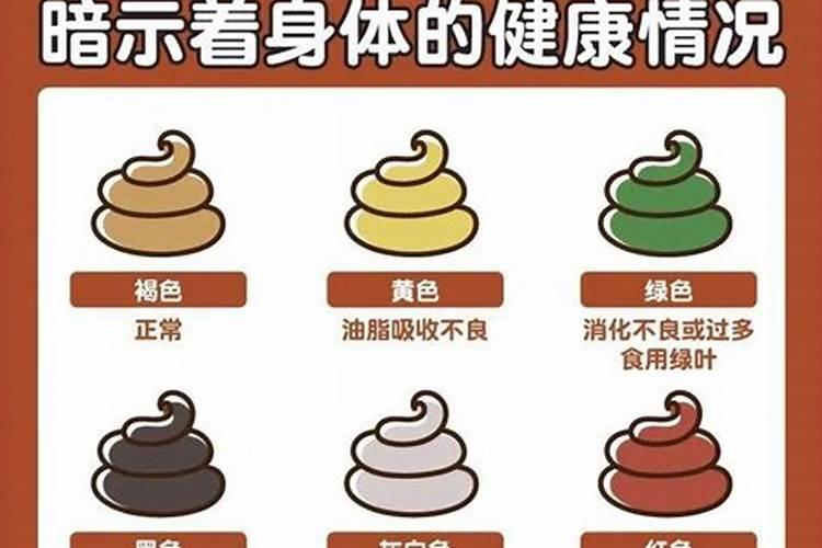 鸡粪,牛粪、猪粪哪个做有机肥效果好？