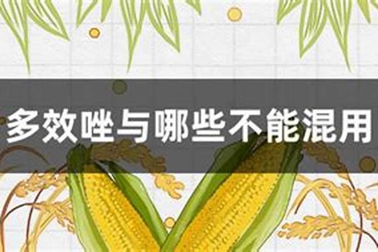 多效唑可以和杀虫剂混用吗