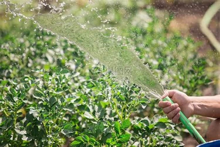 水肥一体化应用的主要技术及方法