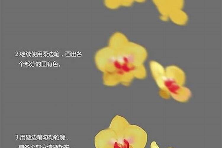 绣球花最好的肥料是什么怎么施？