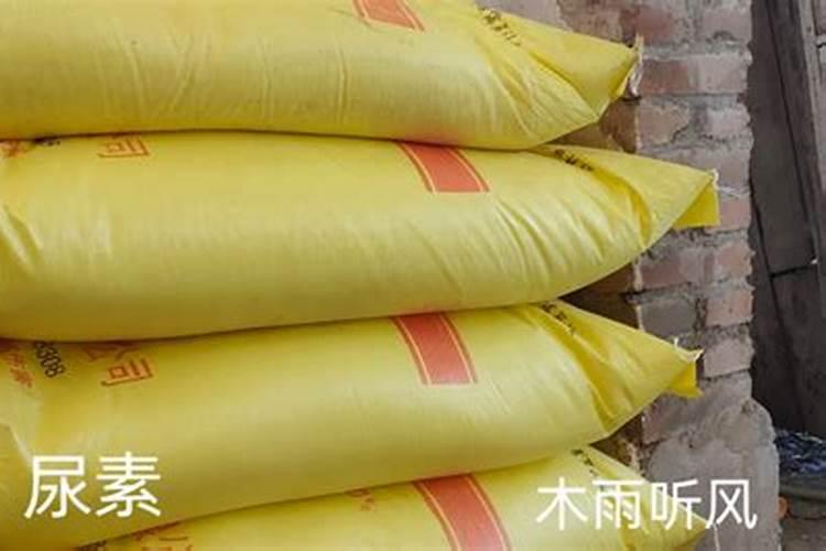 玉米中后期不追尿素可以喷液体氮肥代替吗