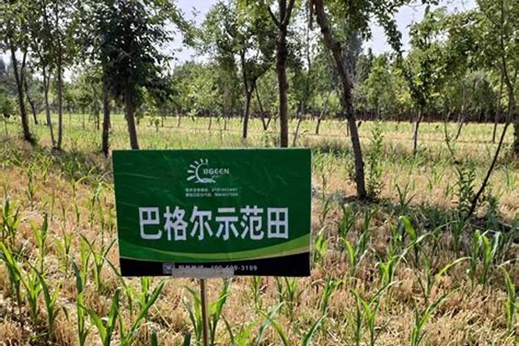 以色列水肥一体化滴灌系统原理!