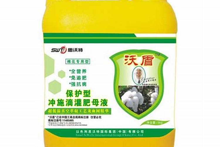 大连春天生物金思草价格？