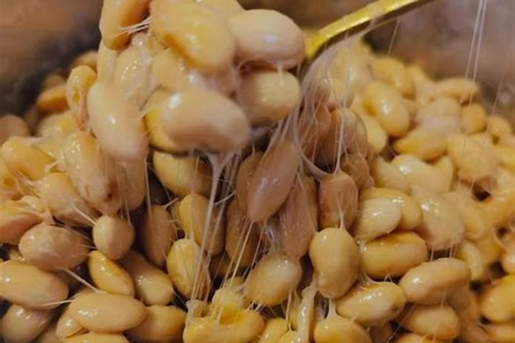 求纳豆菌怎么制作