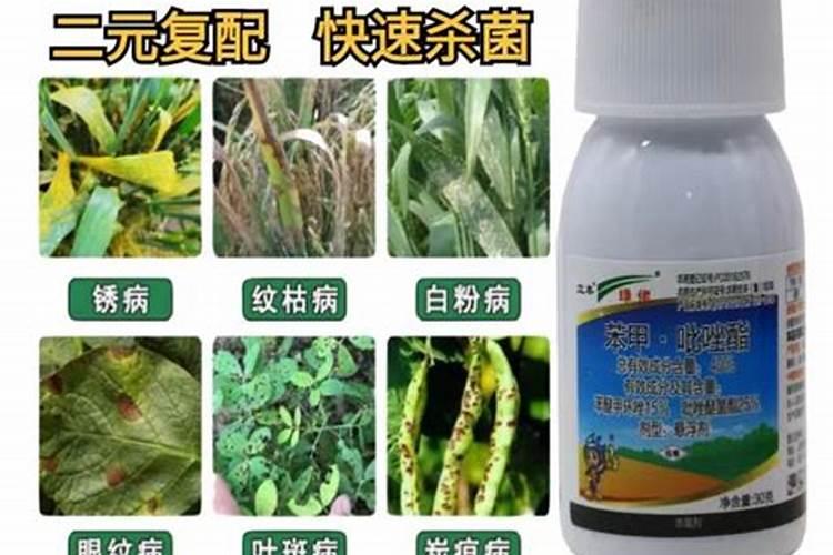 苯甲嘧菌酯 芸苔素 磷酸二氢钾能和用吗？