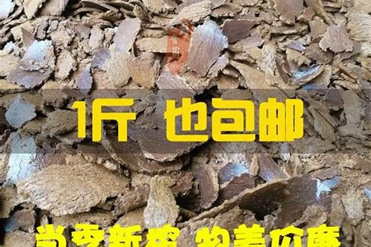 菜籽饼泡水可以直接浇花吗 应该怎么给花施肥