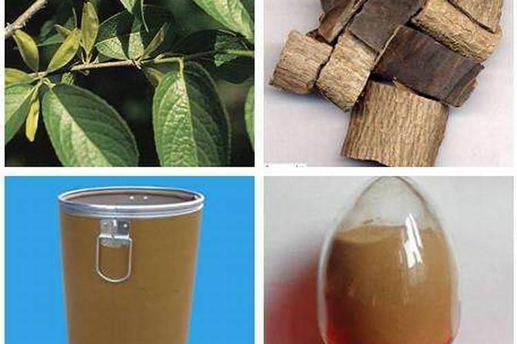 杜仲伏天怎么施肥？