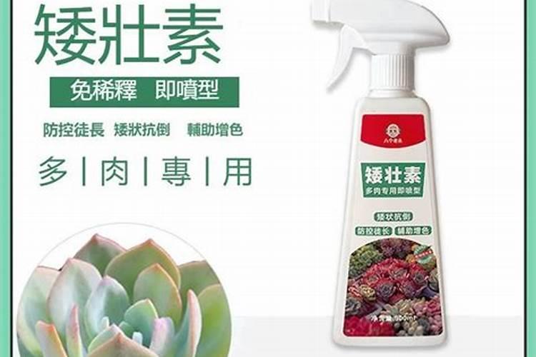 多肉上色肥料怎么用