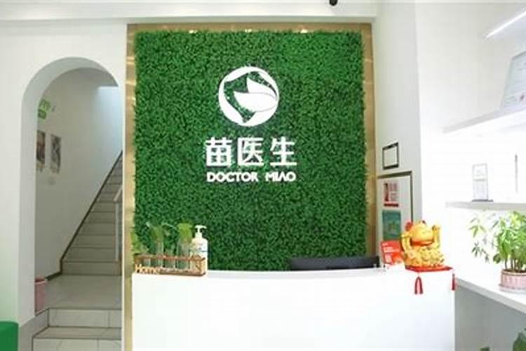 大白菜出芽后怎么管理？