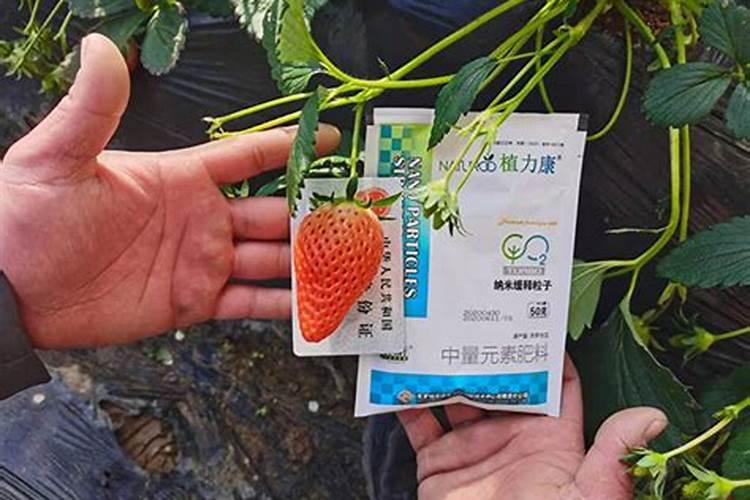 选植力康叶面钙肥、碳肥要看品牌吗？