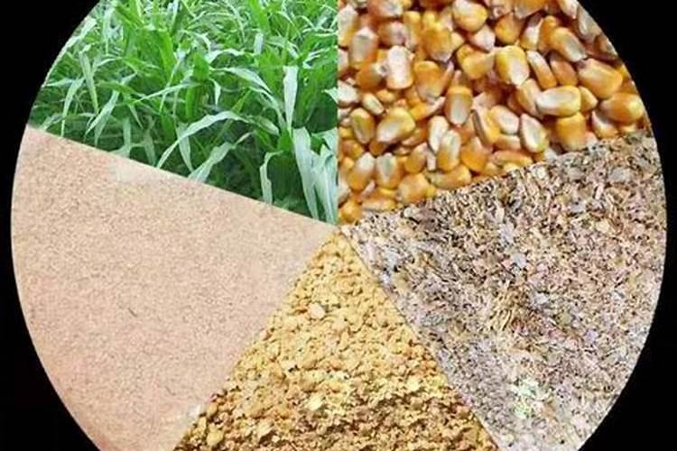 杨树用复合肥还是尿素好？