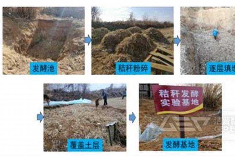 玉米面发酵多久可以做肥料