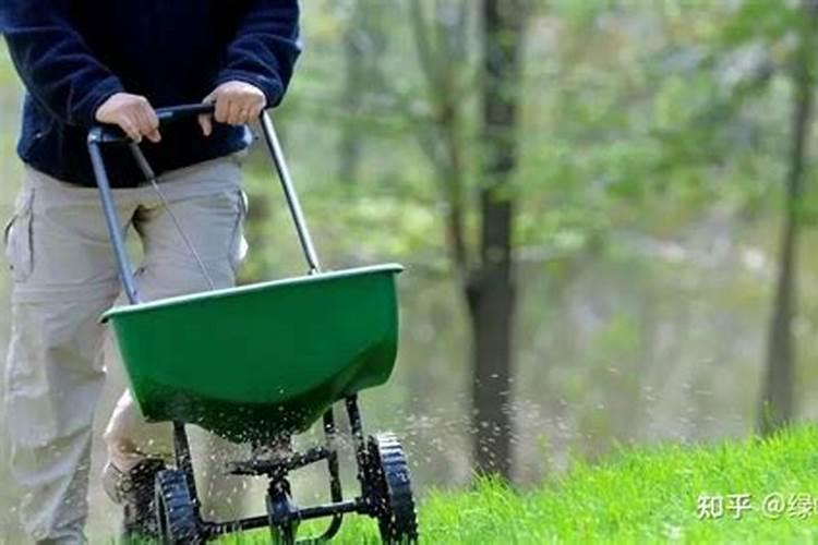 草坪一般怎么施肥,一般用量是多少,一年用几次肥