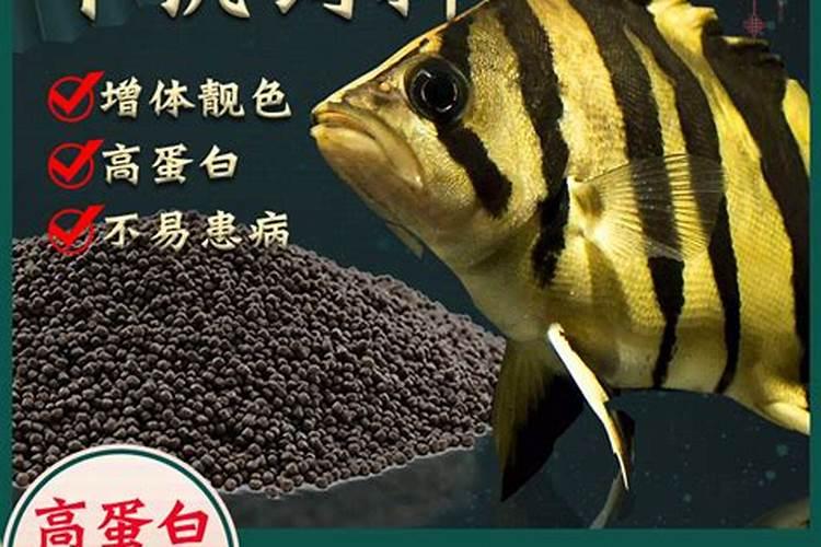 鱼饲料是沉淀的好,还是漂浮在水面上的好？