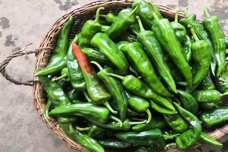 青椒施肥用什么肥料