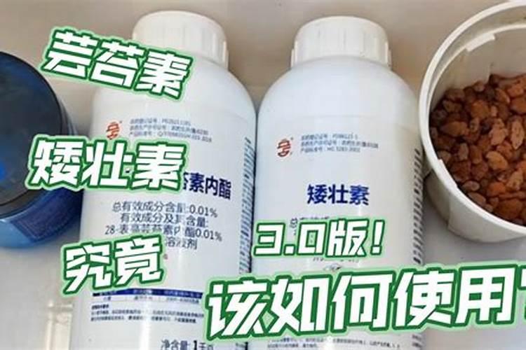 芸苔素能不能喷施在中药材上？