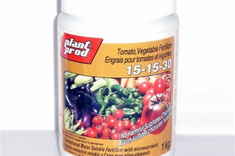 南瓜结瓜后怎么施肥