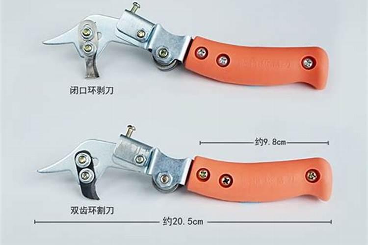 蜜柚如何保果好？