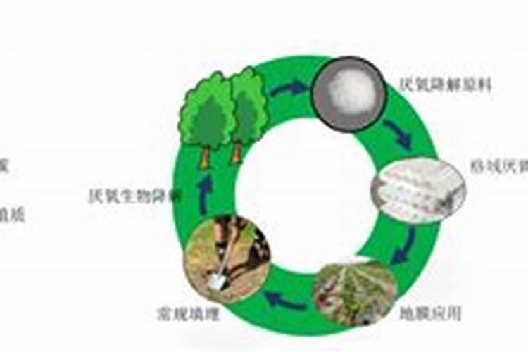 含腐殖酸的水溶肥有什么优缺点？