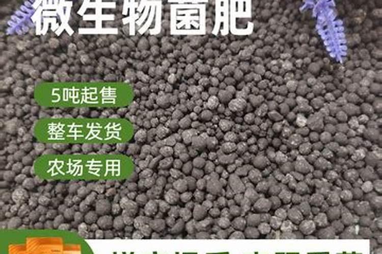 葡萄生根肥淘宝哪个品牌好