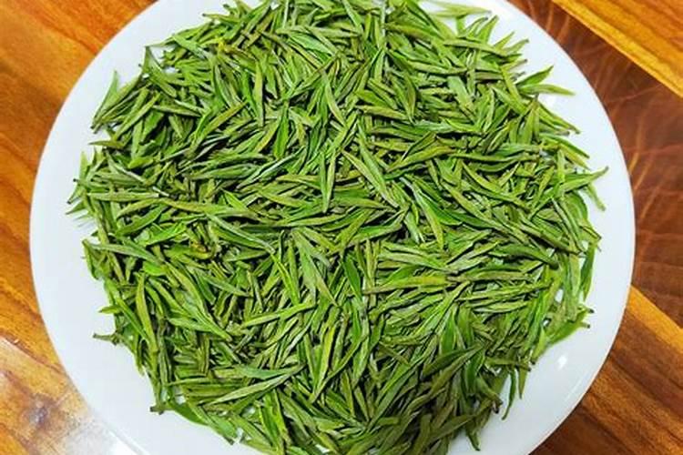 遂昌哪里有金香玉茶叶苗岀售？