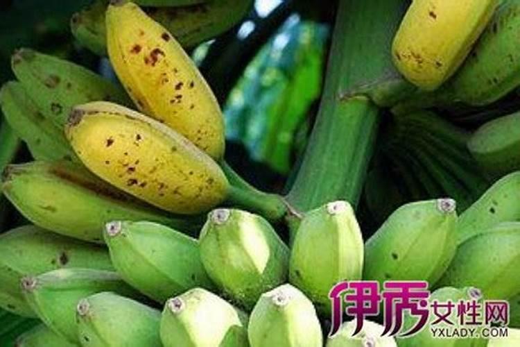 香蕉一般施什么肥