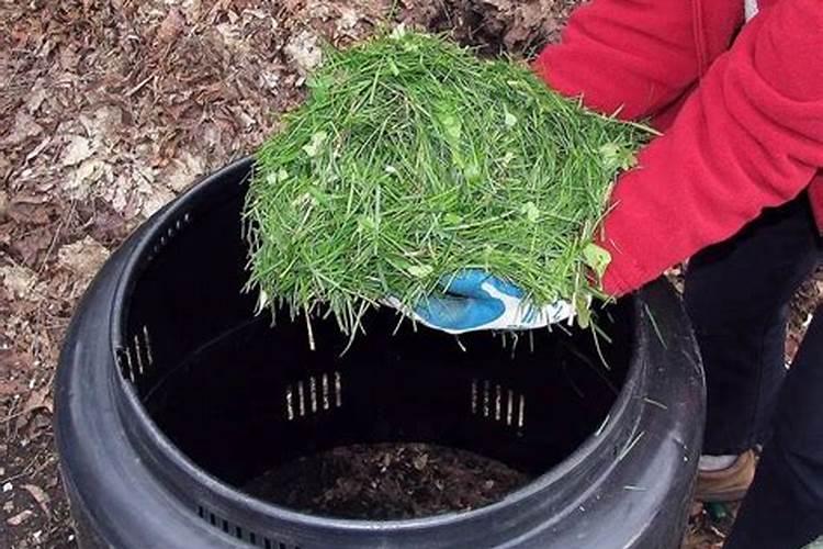 春季苹果树种植方法 水肥管理技术要点