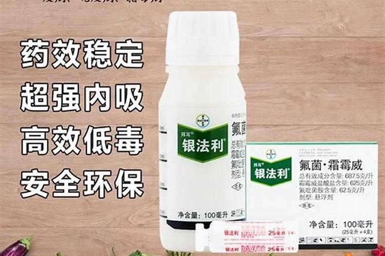 蔬菜疫病用什么药最好