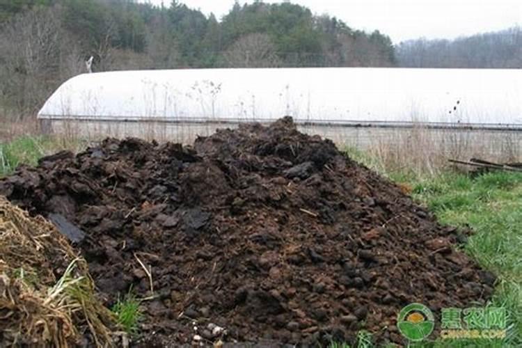 经文记载中的36种“鬼” 竟有专门以吃粪便为生