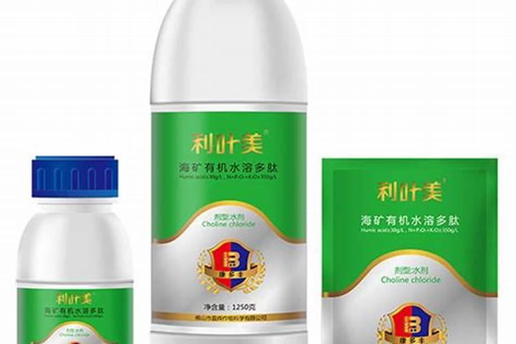 墨鱼骨的作用有哪些