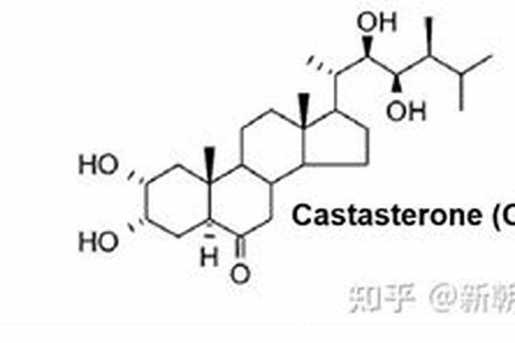 丙酰芸苔素内酯和芸苔素区别
