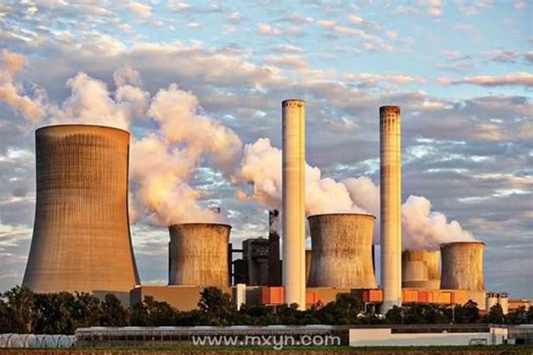 什么时候打叶面肥最