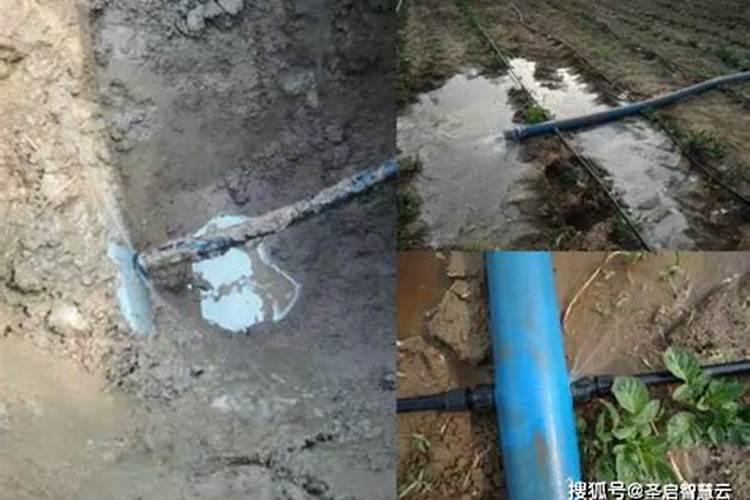 水溶肥浇地的方法