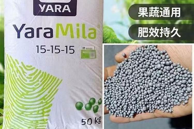 淄博博山哪里种植葡萄多？