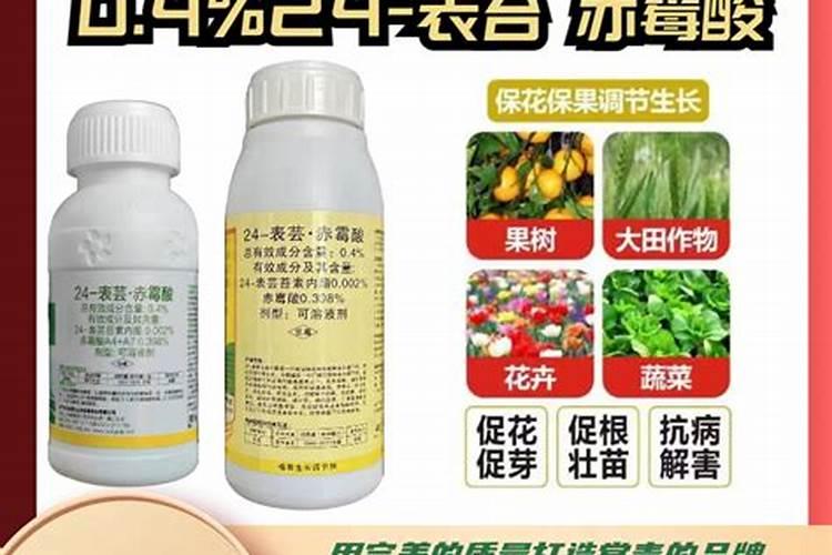 芸苔素有矮壮植物的效果吗