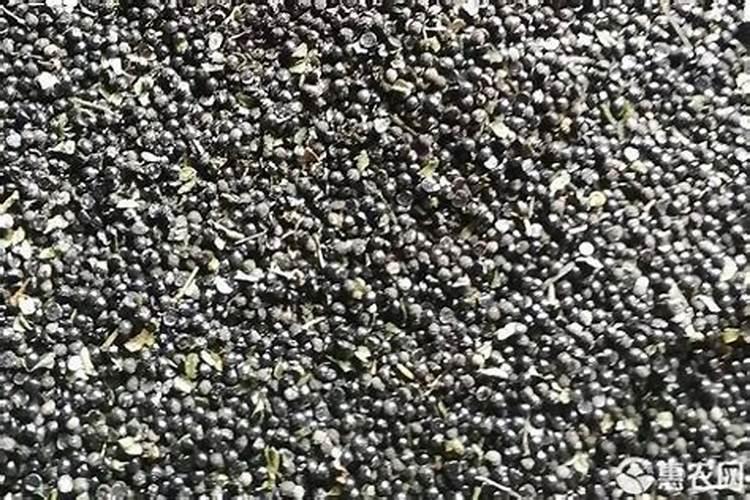 花椒籽做有机肥好,还是大豆磷肥好？