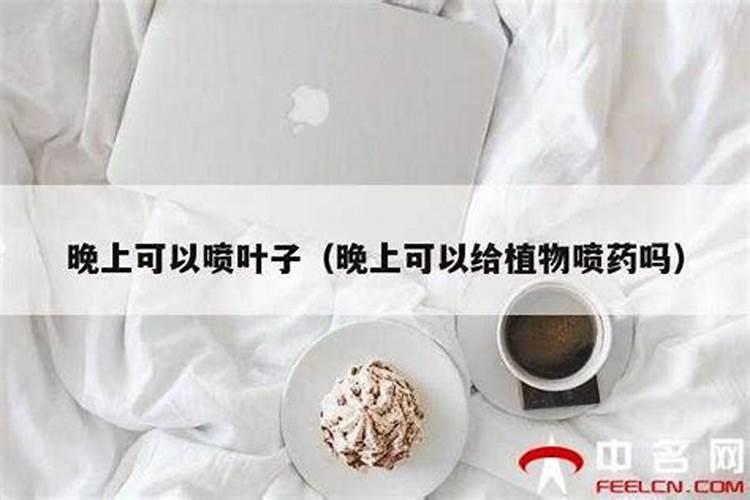 叶面肥早上打好还是下午打好