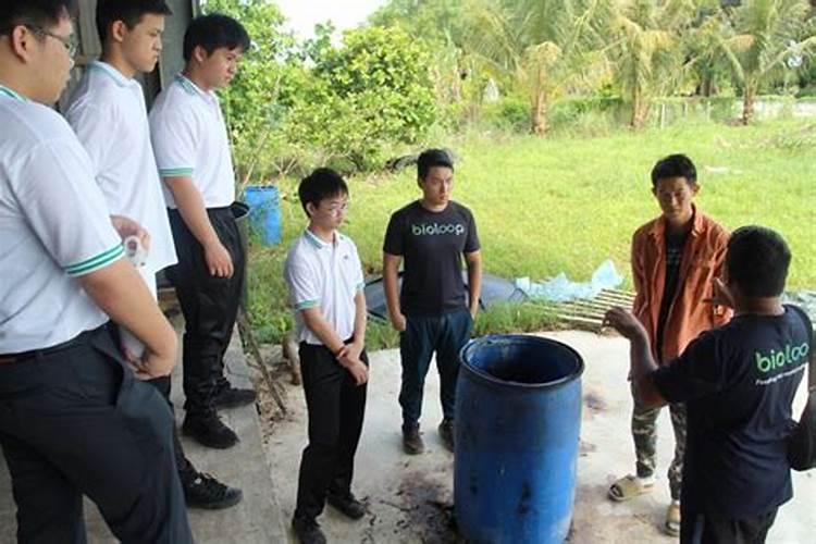 枇杷用什么肥料会让果实更甜