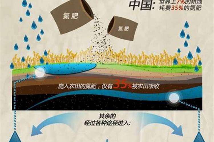 化肥不当用,农田变“毒田”:氮磷钾过量施肥的环境代价