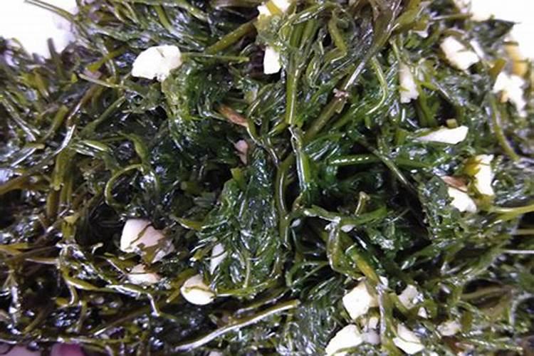 海藻酸肥料功效与特点,是碱性肥料还是酸性肥料